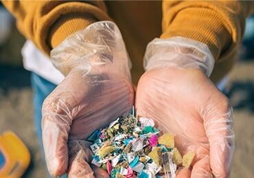 UK researchers find more than half of small mammals are "plastic-positive"